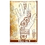 Picture of Henna Stencil 6 - Heavy Floral Fun - SOBA
