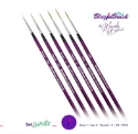 Picture of Blazin Brush by Marcela Bustamante - Details Set of 6